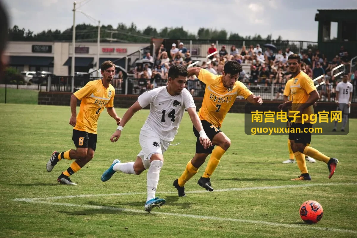 南宫电子pg官网主控与电源方案设计